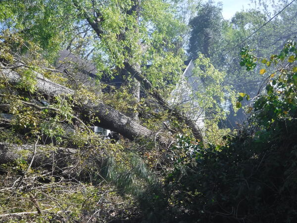 Photograph 2 from EF-2 Tornado Response